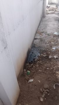 Cleaning - Domestic Services