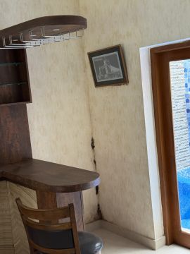 Mold Removal Expert