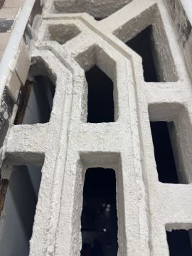 Mold Removal Expert - Domestic Services