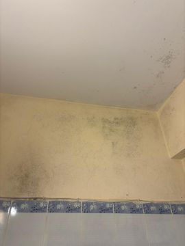 Cleaning