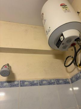 Mold Removal Expert