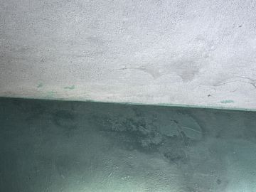 Mold Removal Expert - Domestic Services