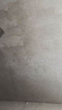 Mold Inspector