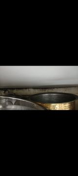 Mold Removal Expert