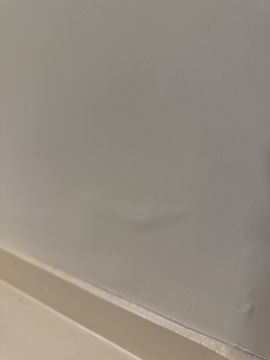 Cleaning - Domestic Services
