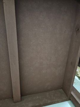 Mold Removal Expert