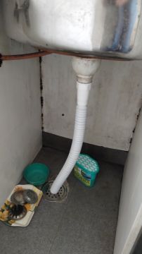 Mold Removal Expert