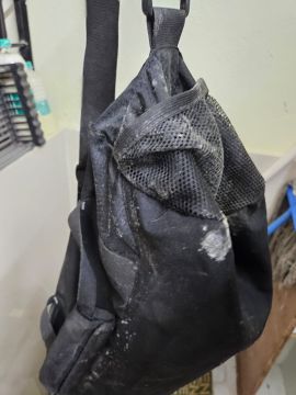 Mold Removal Expert - Domestic Services