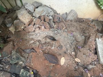 Waste Removal