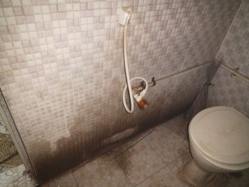 Mold Removal Expert - Domestic Services