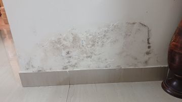 Cleaning