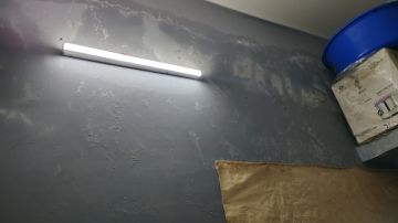 Mold Removal Expert