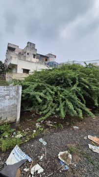 Land Clearance