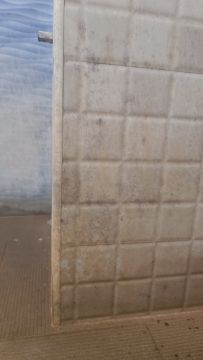 Mold Inspection and Removal