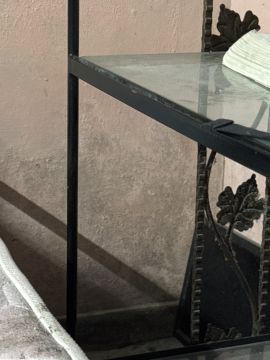 Mold Removal Expert