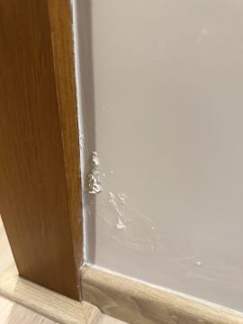 Mold Removal Expert