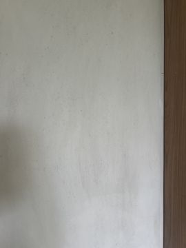 Mold Removal Expert