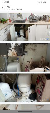 Mold Removal Expert - Domestic Services