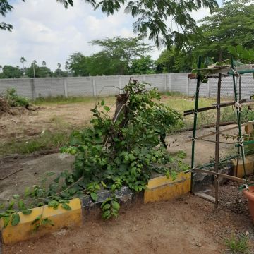 Land clearance specialist