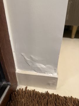 Mold Inspection and Removal - Cleaning