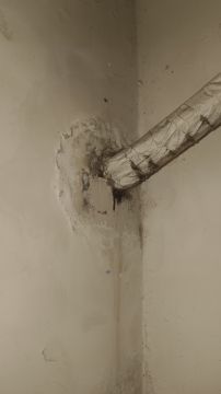 Mold Inspection and Removal - Cleaning