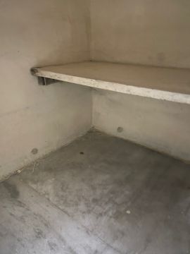 Mold Inspection and Removal