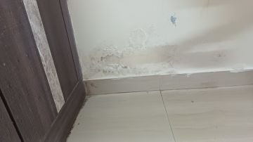 Mold Removal Expert - Domestic Services