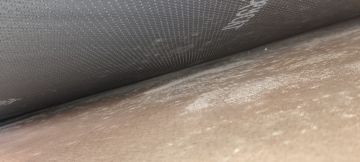 Mold Removal Expert - Domestic Services