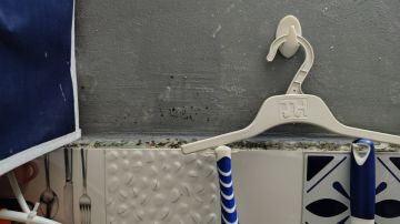 Mold Inspection and Removal - Cleaning