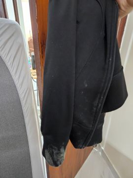 Mold Removal Expert