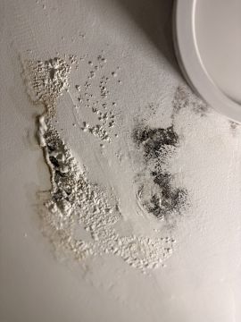 Mold Removal Expert - Domestic Services