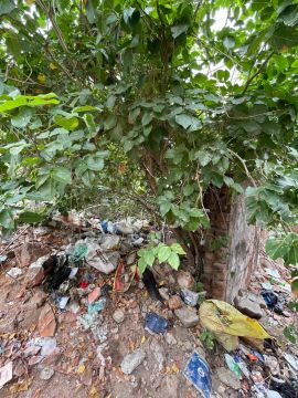 Land clearance specialist