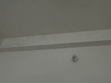 Mold Removal Expert - Domestic Services