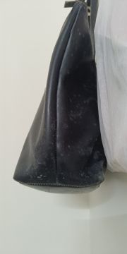 Mold Removal Expert