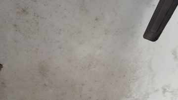 Mold Inspection and Removal