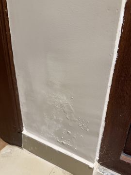 Mold Removal Expert - Domestic Services