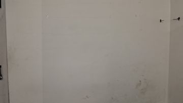 Mold Removal Expert