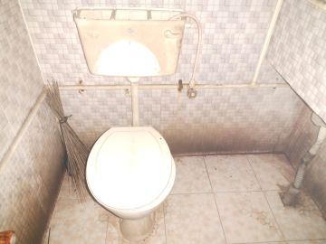 Mold Inspection and Removal