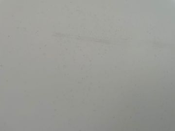 Mold Removal Expert