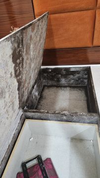 Mold Removal Expert - Domestic Services
