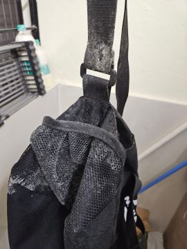 Mold Inspection and Removal - Cleaning