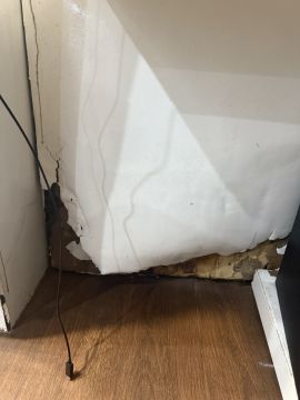 Mold Inspection and Removal