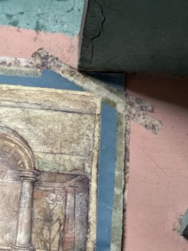 Mold Inspection and Removal