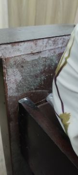 Mold Removal Expert