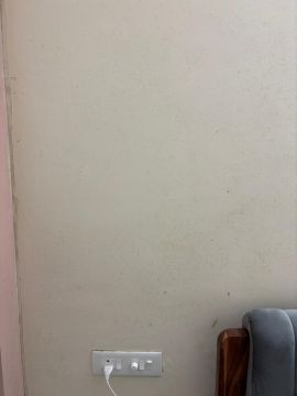 Mold Inspection and Removal