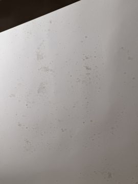 Mold Removal Expert