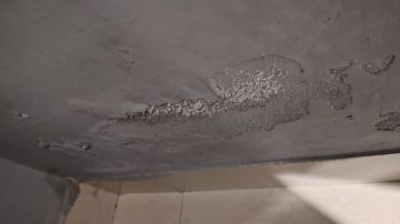 Cleaning - Domestic Services