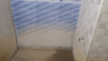Mold Removal Expert