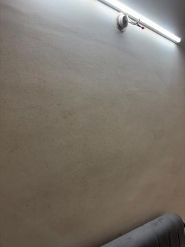 Mold Removal Expert - Domestic Services