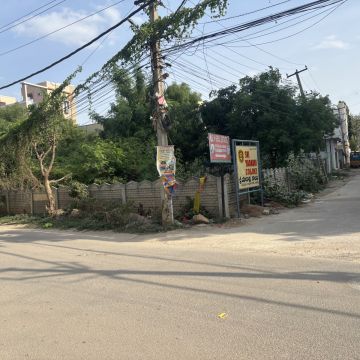 Lawncare